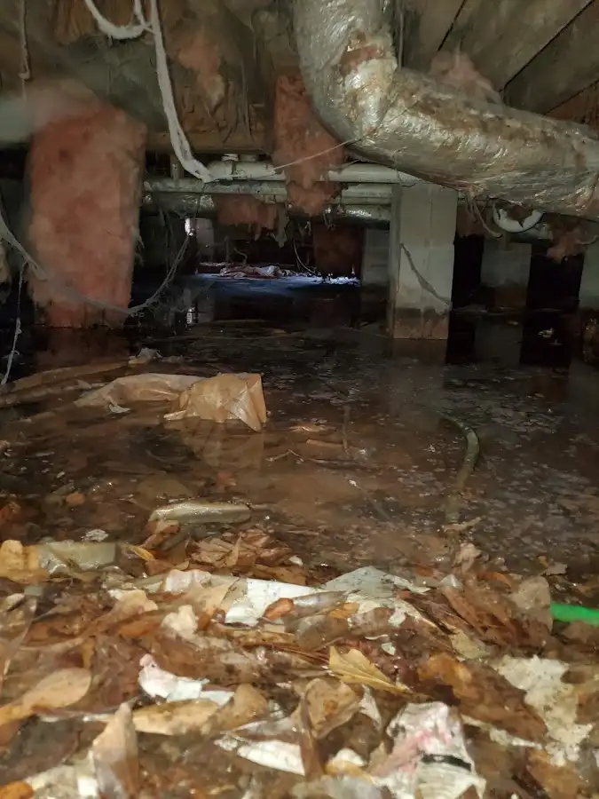 Crawl space flood assessment for Leak Detection & Repair in Glenn Heights
