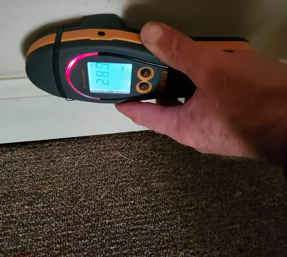 Moisture detection at baseboard during Sewage Cleanup & Sanitation in Glenn Heights